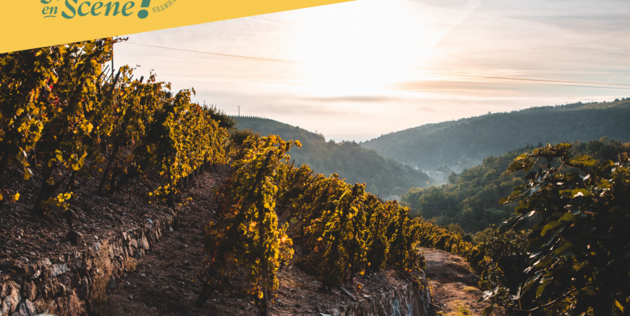 Rando Wine au Domaine Gaillard