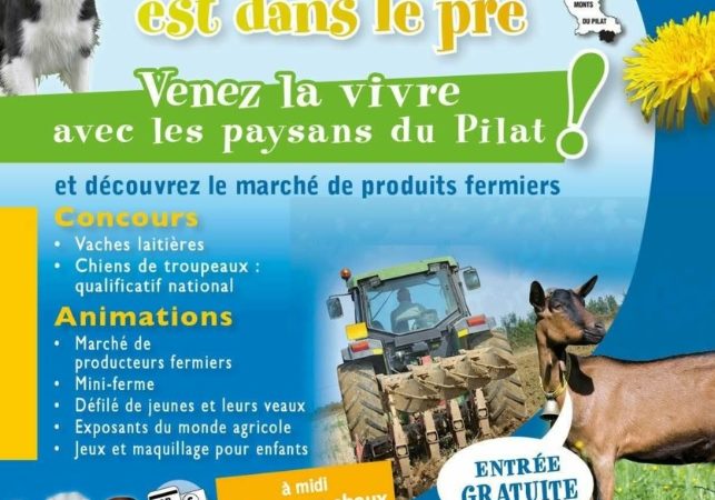 La fête est dans le pré