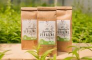 Fleurs de Verveine_Rosières