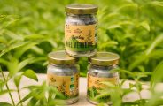 Fleurs de Verveine_Rosières