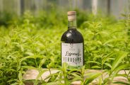 Fleurs de Verveine_Rosières