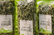 Fleurs de Verveine_Rosières