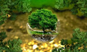 Ateliers : Biodiversité en danger, du constat à l’action_Châteauneuf-de-Galaure
