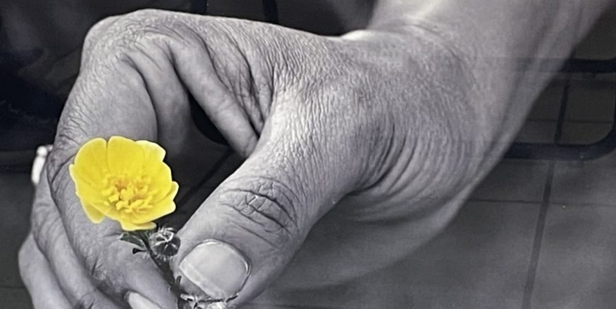Exposition photos – Les Mains de Lydie Tanski