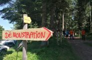 Fête de la Forêt et du Bois_Le Bessat