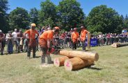 Fête de la Forêt et du Bois_Le Bessat