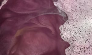 Initiation à la vinification et dégustation_Rosières