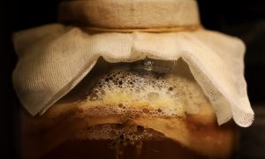 Découverte des boissons fermentées sans alcool_Annonay