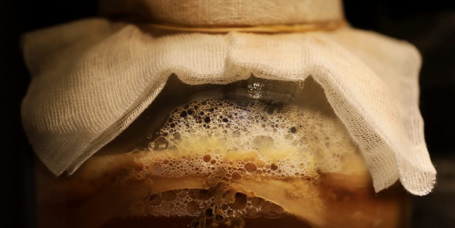 Découverte des boissons fermentées sans alcool