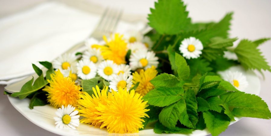 Dîner sur le thème des plantes comestibles