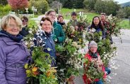 Atelier Plantes sauvages – vannerie