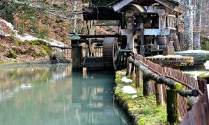 Visite du Moulin du Pinard_Saint-Julien-du-Pinet