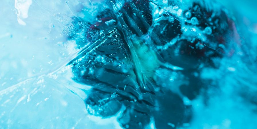 Quand la cryogénie transporte nos aliments