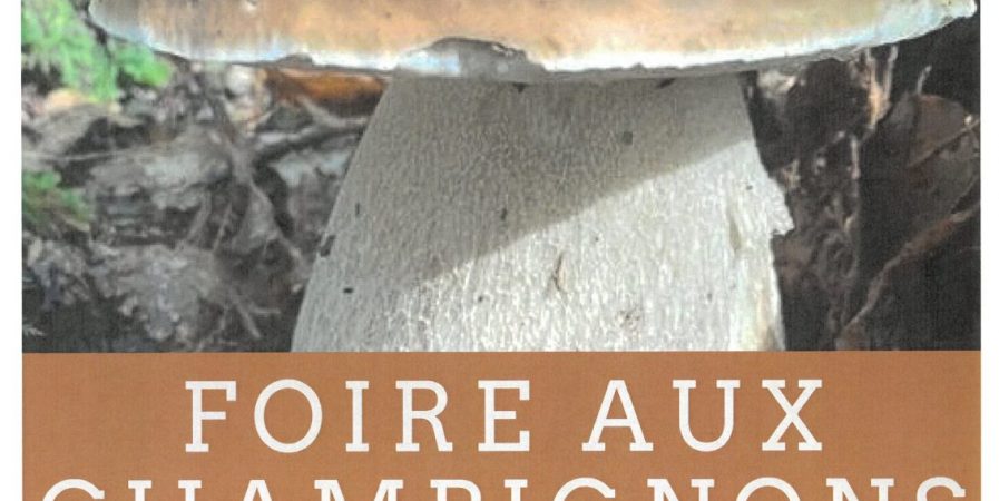 Foire aux champignons de La Chaise-Dieu