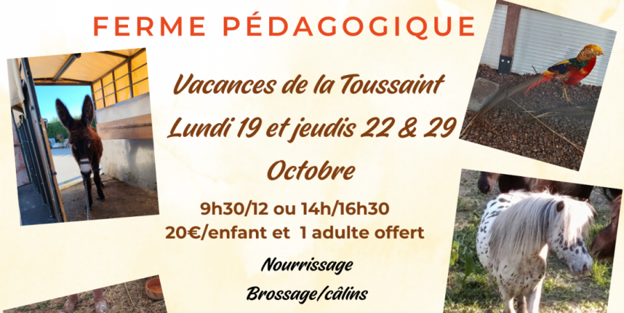 Demi-journée soigneur à le ferme pédagogique