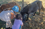 Demi-journée soigneur à le ferme pédagogique_Rochetaillée