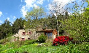 Chambres d’hôtes herbes sauvages