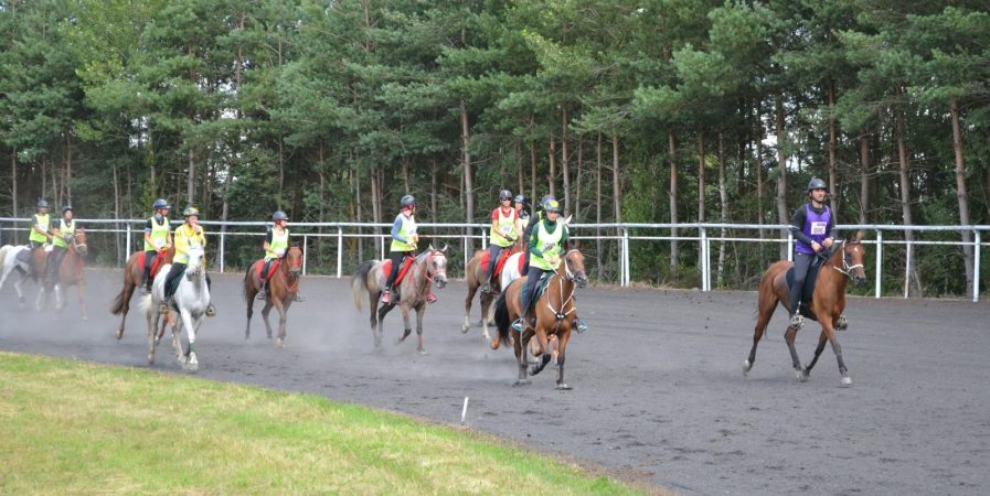 Le Raid des Pèlerins : concours international d’endurance équestre