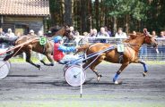 EVE_CourseChevaux