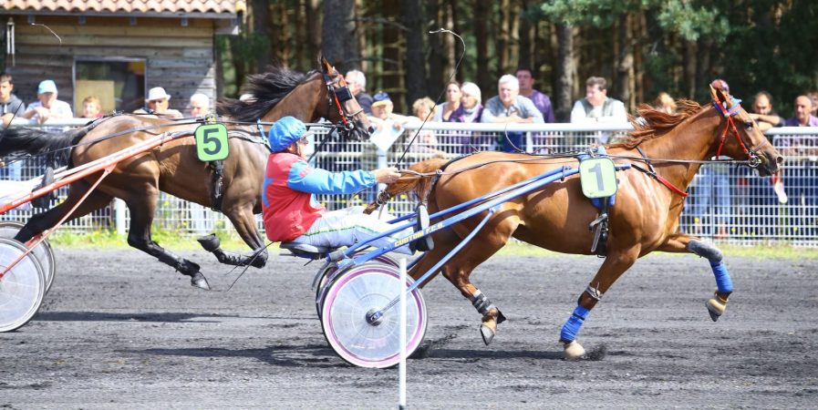 Courses Hippiques – Hippodrome de Jullianges