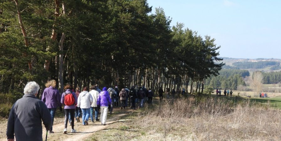 Journée de soutien à Ela