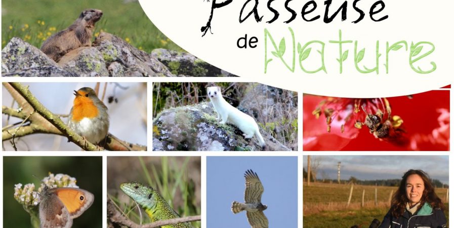 Balades de découverte de la Nature ( Passeuse  de nature)