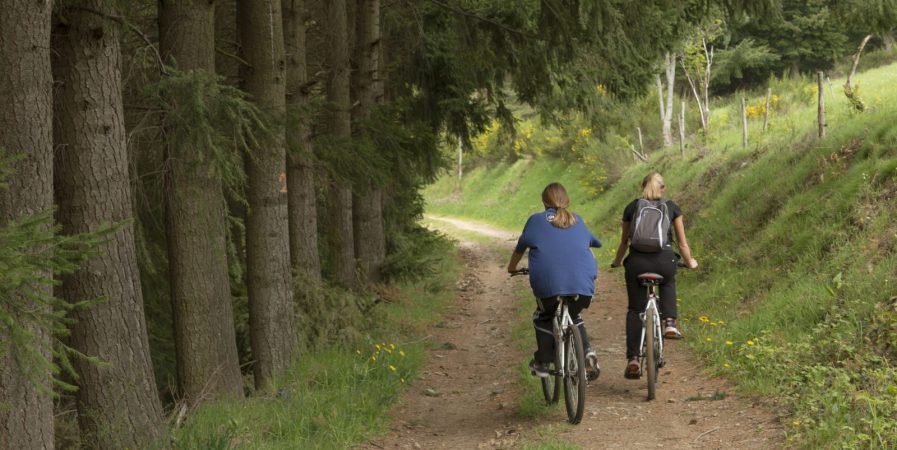 Sorties en vélo et VTT avec les Cyclotouristes Annonéens