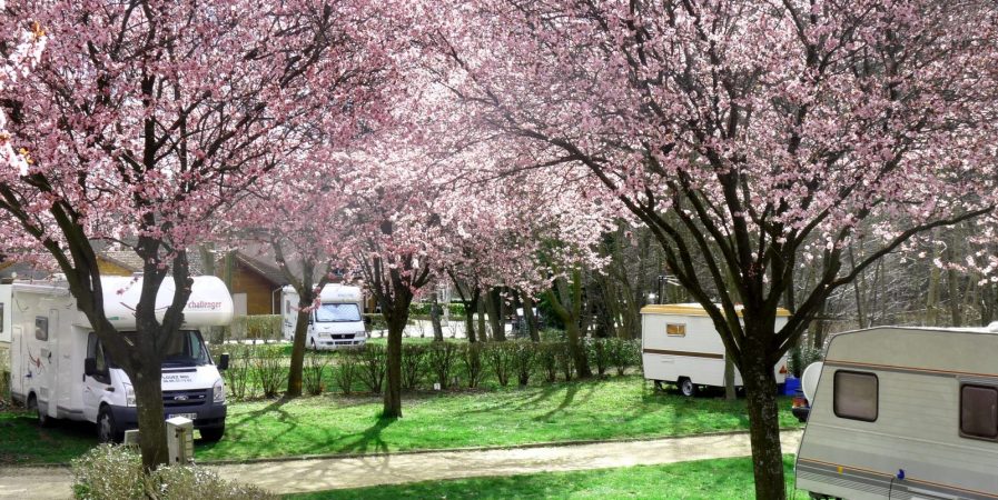 Camping municipal l’Astrée