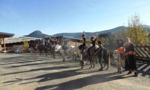 Découverte du poney au centre équestre d’Yssingeaux