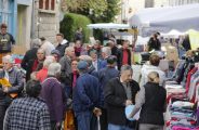 EVE_Foire aux champignons de La Chaise-Dieu_stands