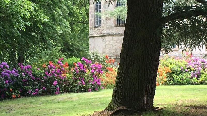 Rendez vous aux jardins