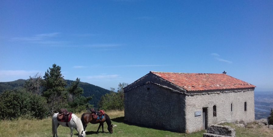 Les Sabots de la Vigne – Balades, randonnées et voyages équestres